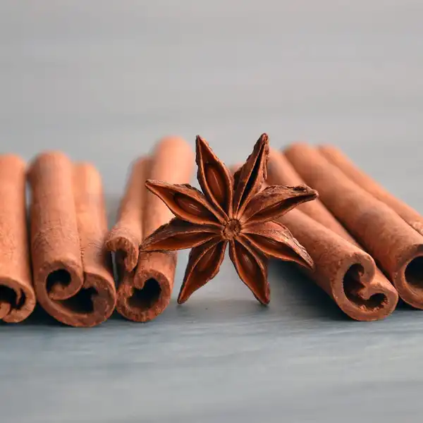 Cinnamon sticks with a single star anise resting on top