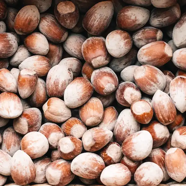 A close view of whole hazelnuts in their brown skins