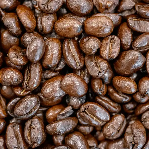 A close view of glossy dark roasted coffee beans